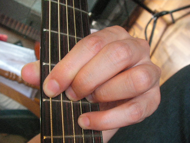 コードフォーム おんぎ た